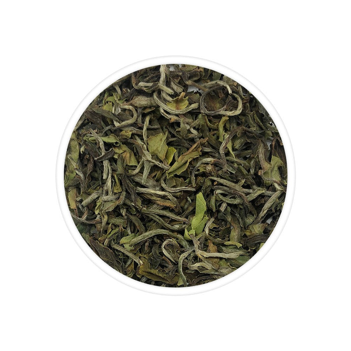 Rejuvenating Rohini Spring